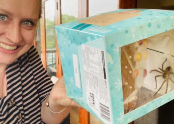 Kupila je kućicu od medenjaka, a ono što ju je dočekalo u pakiranju tjera strah u kosti