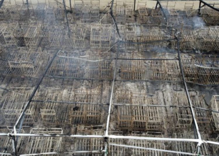 Pogledajte što je ostalo od kampa kojeg su jučer spalili migranti (FOTO)