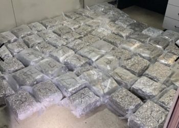 Hrvat ‘pao’ na granici s BiH, pokušao prošvercati drogu vrijednu 250 tisuća eura