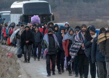 Propala akcija Selme Cikotića premještanja migranata u Hercegovinu