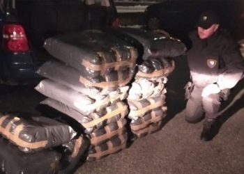 UNO BiH: Oduzeto 280 kilograma rezanog sušenog duhana