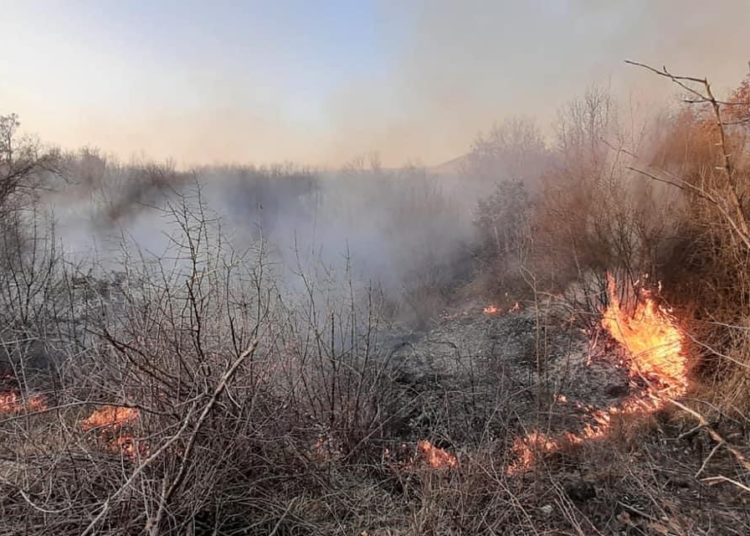 Širokobriješki vatrogasci imaju pune ruke posla