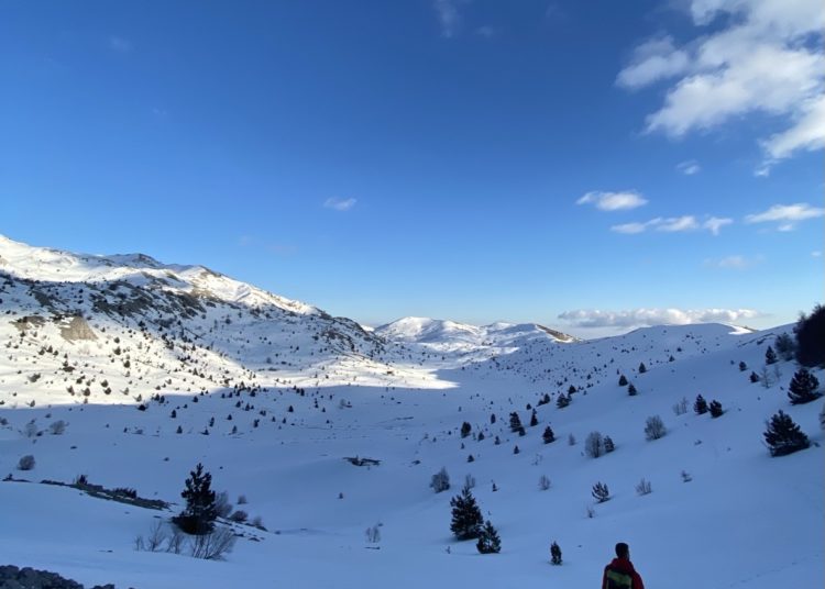 FOTO: Pogled s Čabulje