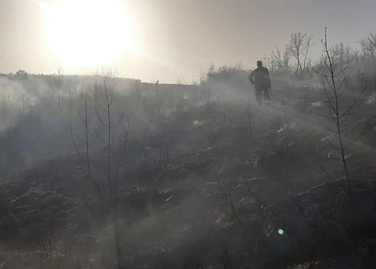 Širokobriješki vatrogasci ugasili dva požara