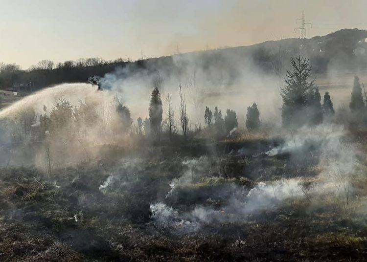 Širokobriješki vatrogasci imaju pune ruke posla
