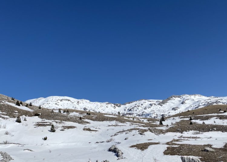 FOTO: Pogled s Čabulje