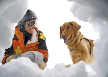 Dvije osobe zatrpala lavina, živote im spasili njihovi psi
