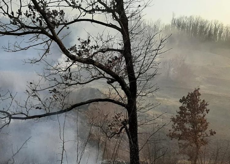 Širokobriješki vatrogasci imaju pune ruke posla