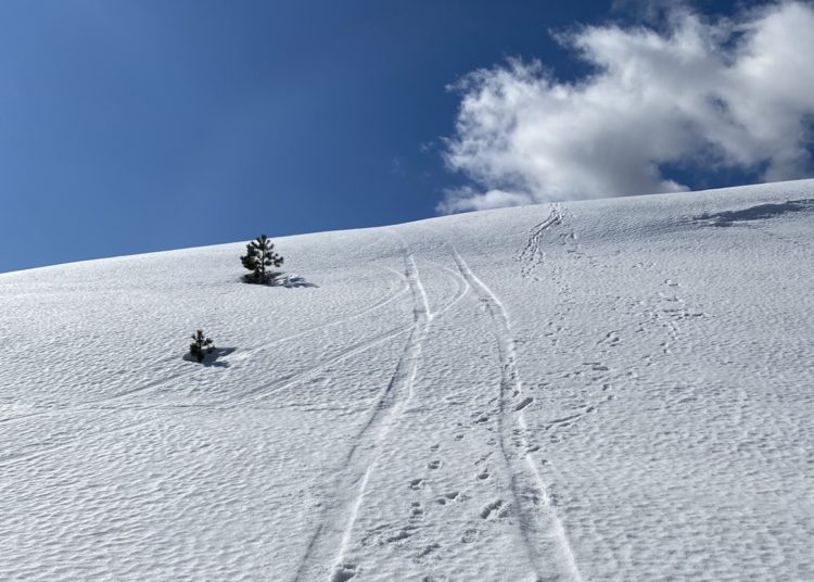 FOTO: Pogled s Čabulje