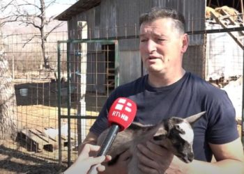 Farmeri iz Gruda: Radimo i po 18 sati dnevno, ali isplati se. Naše mlijeko i sir idu i na tržište EU