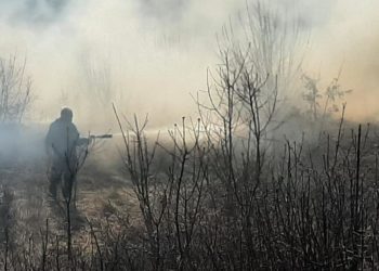 Širokobriješki vatrogasci gasili požar u Crnim Lokvama i Izbičnu