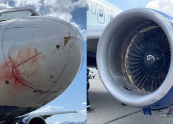 Zrakoplov s košarkašima Utah Jazza jedva se spasio nakon što je naletio na jato ptica