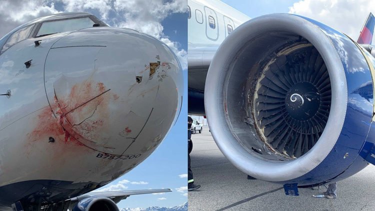 Zrakoplov s košarkašima Utah Jazza jedva se spasio nakon što je naletio na jato ptica