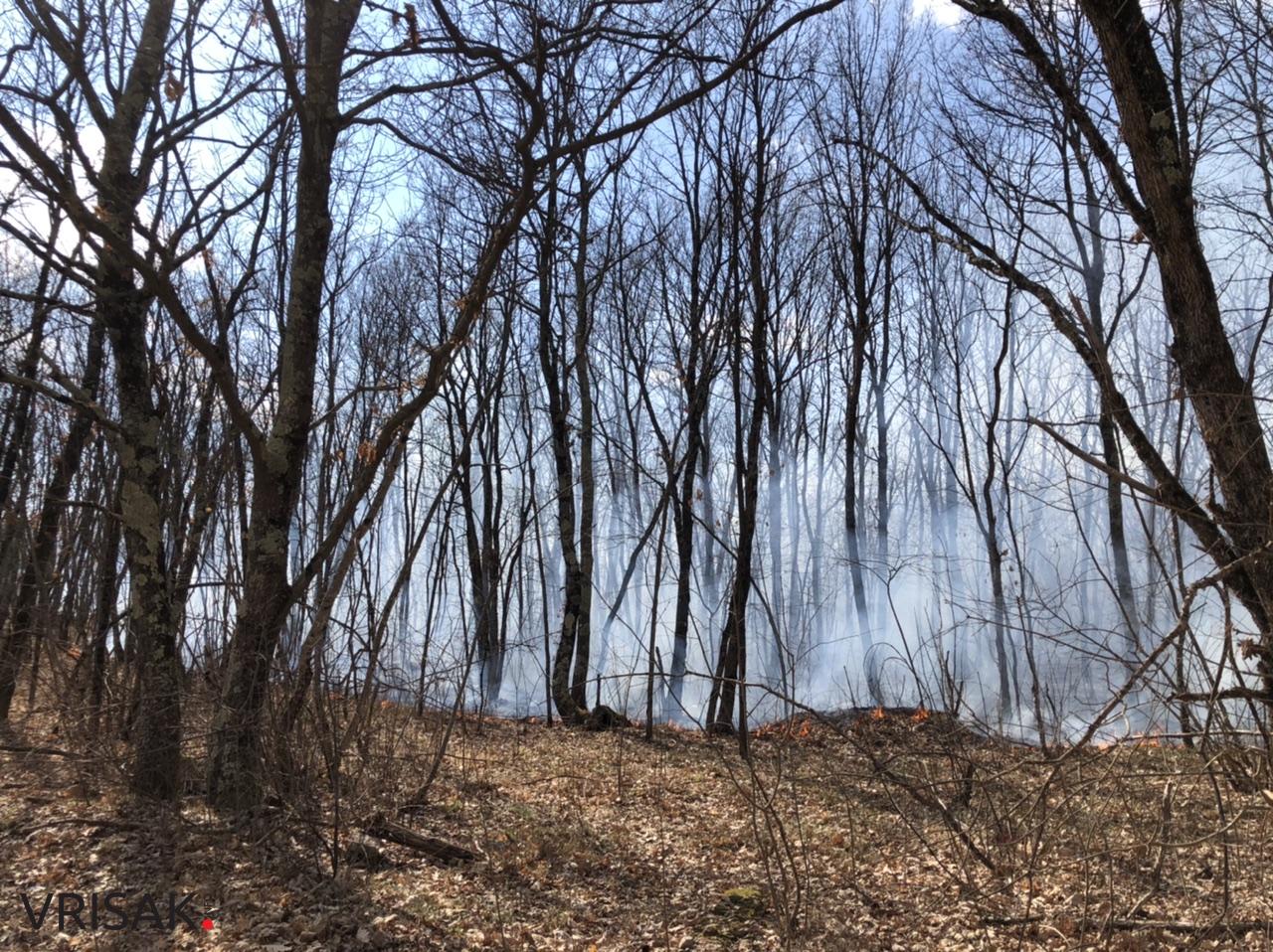Široki Brijeg: Požar između Trna i Ljubotića