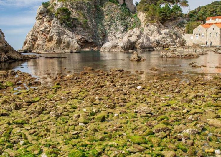 Nezapamćena oseka u Dubrovniku