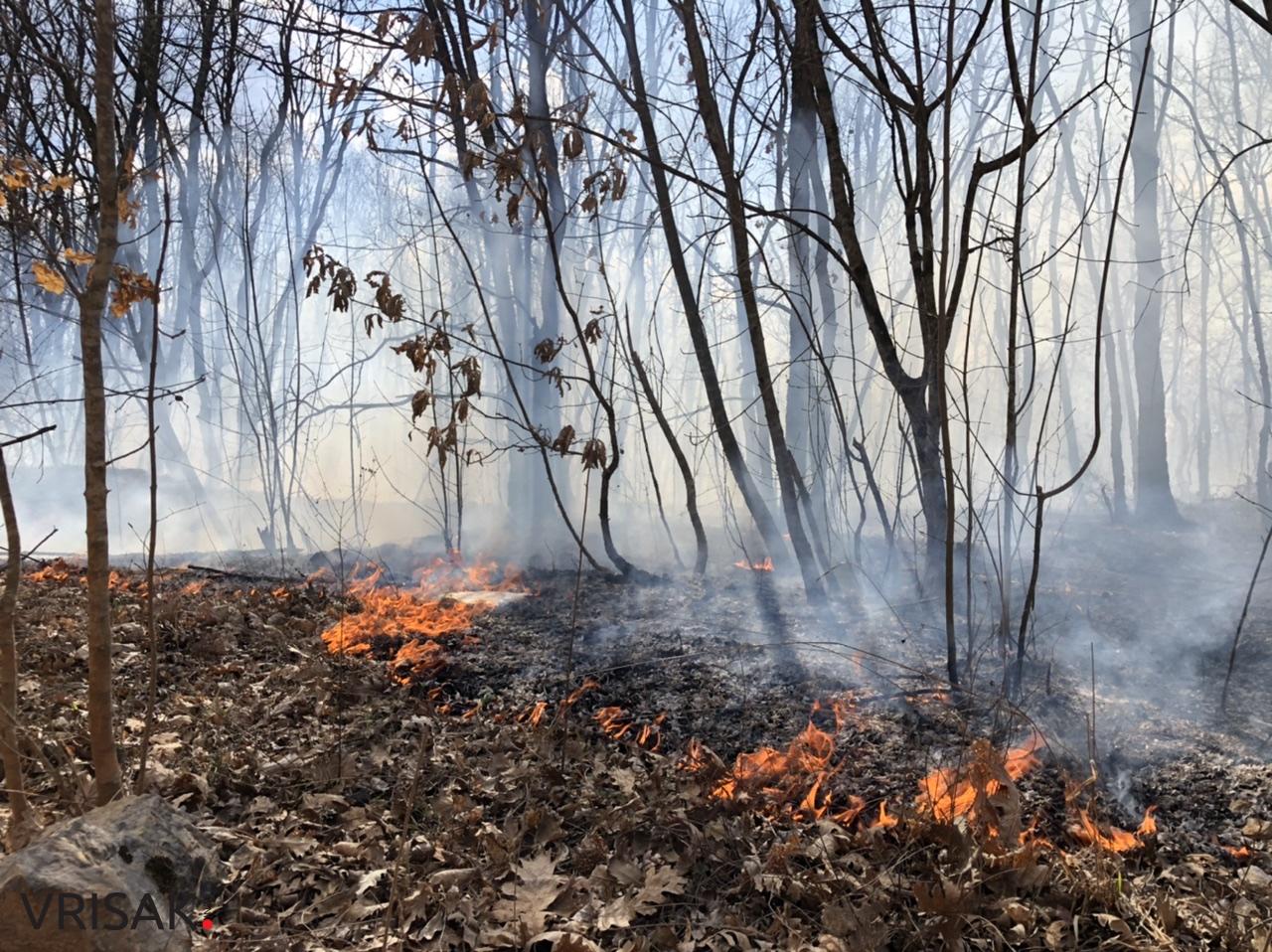 Široki Brijeg: Požar između Trna i Ljubotića