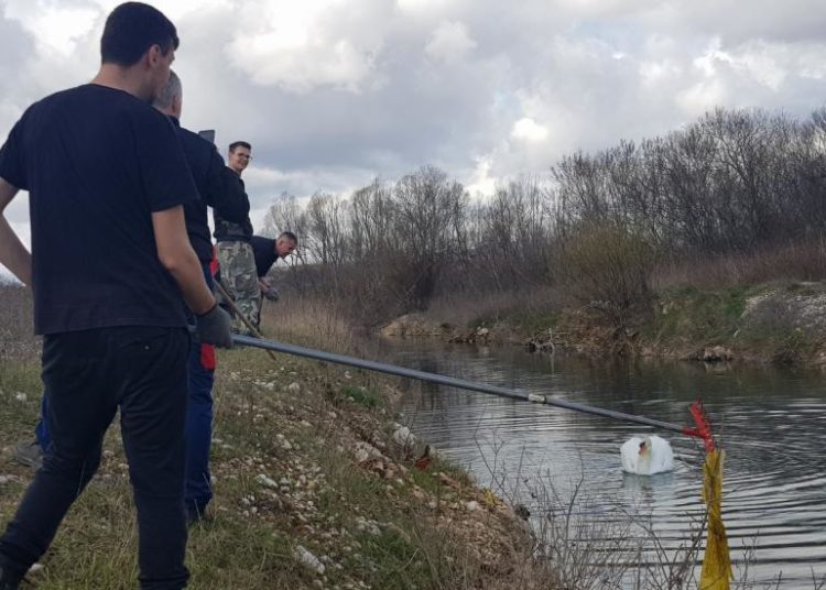 Akcija čišćenja rijeke Lištice u Širokom Brijegu