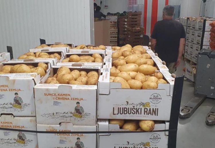 Sadnja ”Ljubuškog ranog” u punom jeku: Distributivni centar kreće s radom ove godine