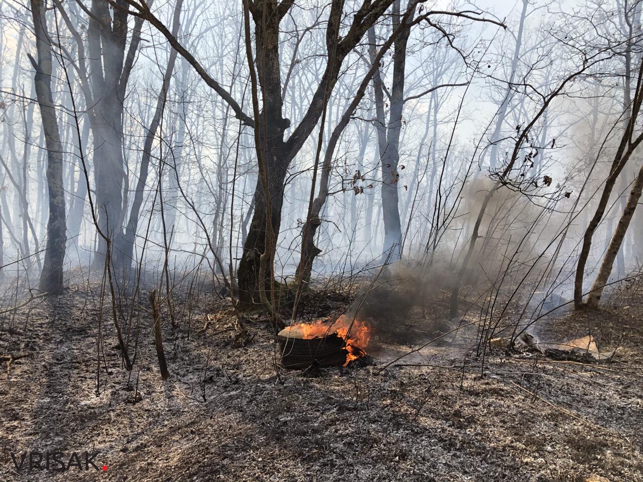 Široki Brijeg: Požar između Trna i Ljubotića