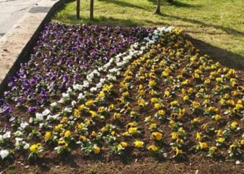 Komos u Mostaru zasadio tri tisuće sadnica cvijeća