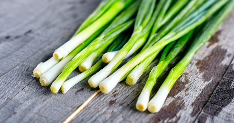 Pet razloga zašto je dobro jesti mladi luk, posebno zeleni dio