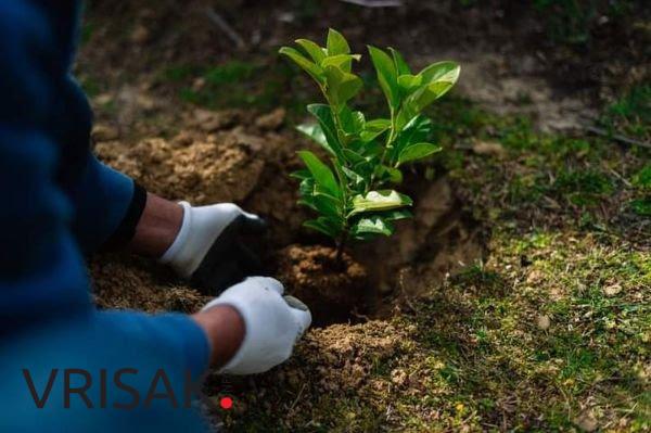 Udruga mladih Agape posadila 30 sadnica oko škole Crveni Grm
