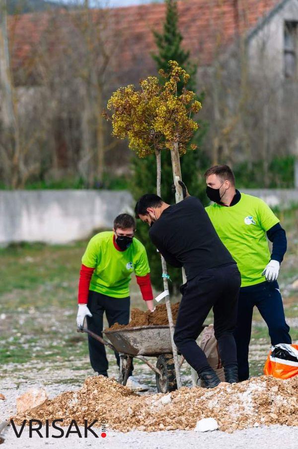 Udruga mladih Agape posadila 30 sadnica oko škole Crveni Grm