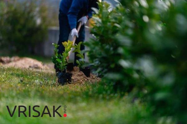 Udruga mladih Agape posadila 30 sadnica oko škole Crveni Grm