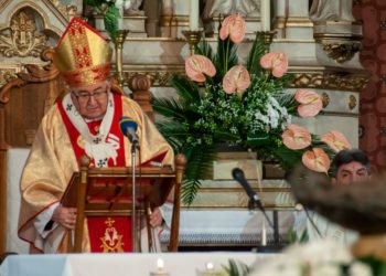 Kardinal Puljić: Treba odati priznanje svima koji se bore za živote