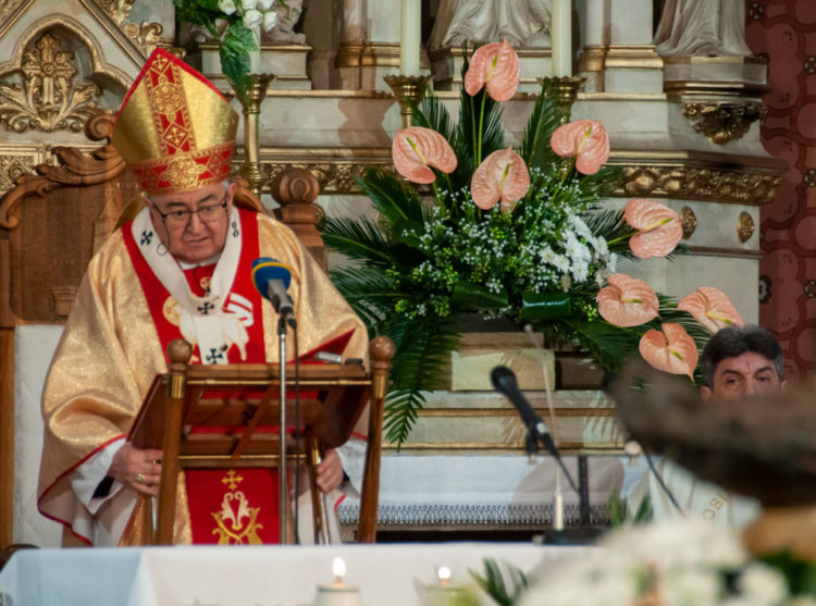 Kardinal Puljić: Treba odati priznanje svima koji se bore za živote
