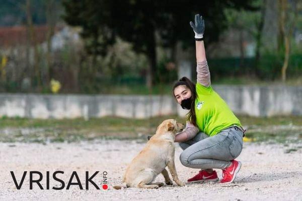 Udruga mladih Agape posadila 30 sadnica oko škole Crveni Grm