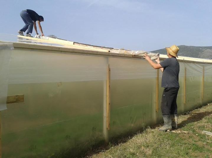 Ljubuški: Plastenike će dobiti ukupno 20 korisnika