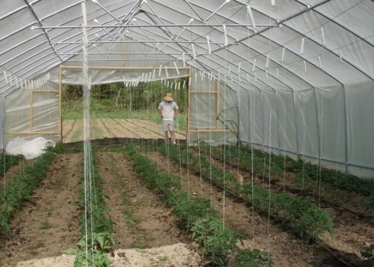 Ljubuški: Plastenike će dobiti ukupno 20 korisnika