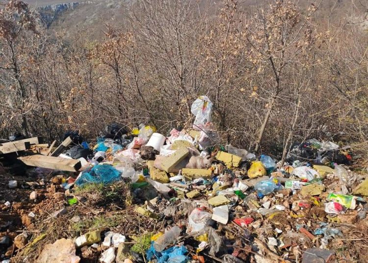 Uz mehanizaciju i ljudstvo sanirana divlja deponija ispod spomenika Ludviga Pavlovića