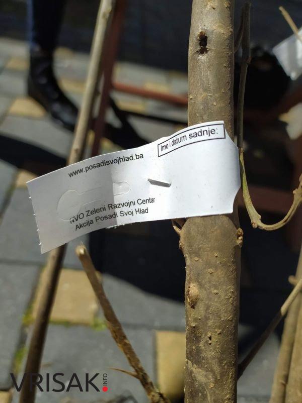 Održana akcija “Posadi svoj hlad” u Ljubuškom