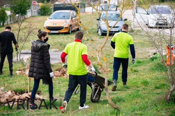 Udruga mladih Agape posadila 30 sadnica oko škole Crveni Grm