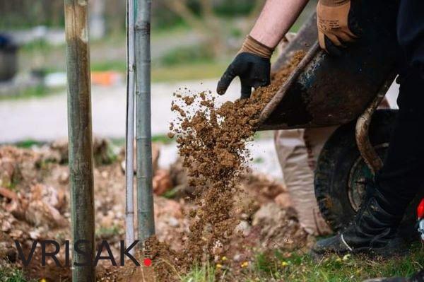 Udruga mladih Agape posadila 30 sadnica oko škole Crveni Grm