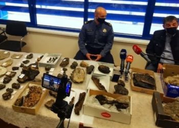 Slovenac pokušao iz BiH prokrijumčariti fosile neprocjenjive vrijednosti