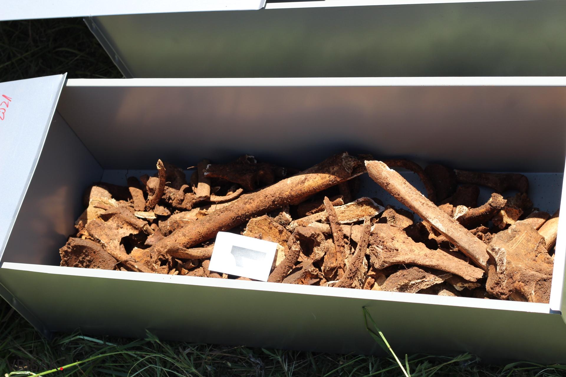 Izvršena ekshumacija šest tijela hrvatskih vojnika s Čarapova polja na Privalju