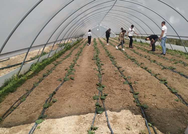 Učenici Gimnazije Ljubuški sudjelovali u projektu “Agrikulturnog usavršavanja”