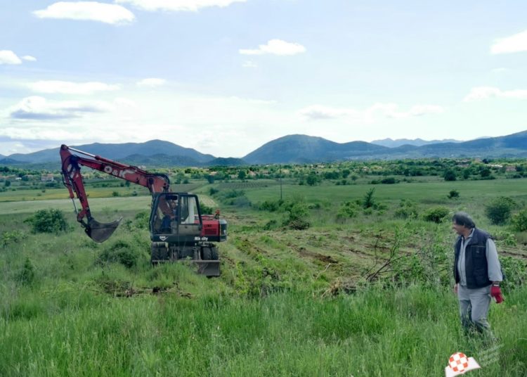 Počele aktivnosti vinara iz Ljubuškog na Plantaži