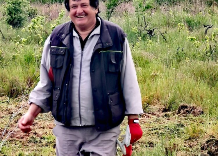 Počele aktivnosti vinara iz Ljubuškog na Plantaži