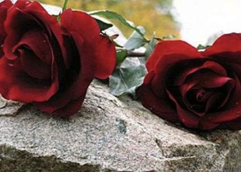 Široki Brijeg: Preko 70 sprovoda u više od mjesec dana