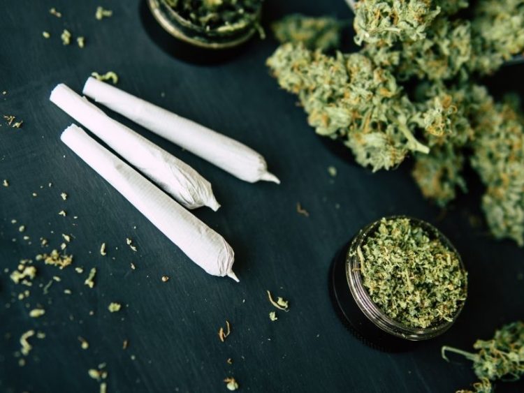 Zagreb po potrošnji trave prvi u Europi