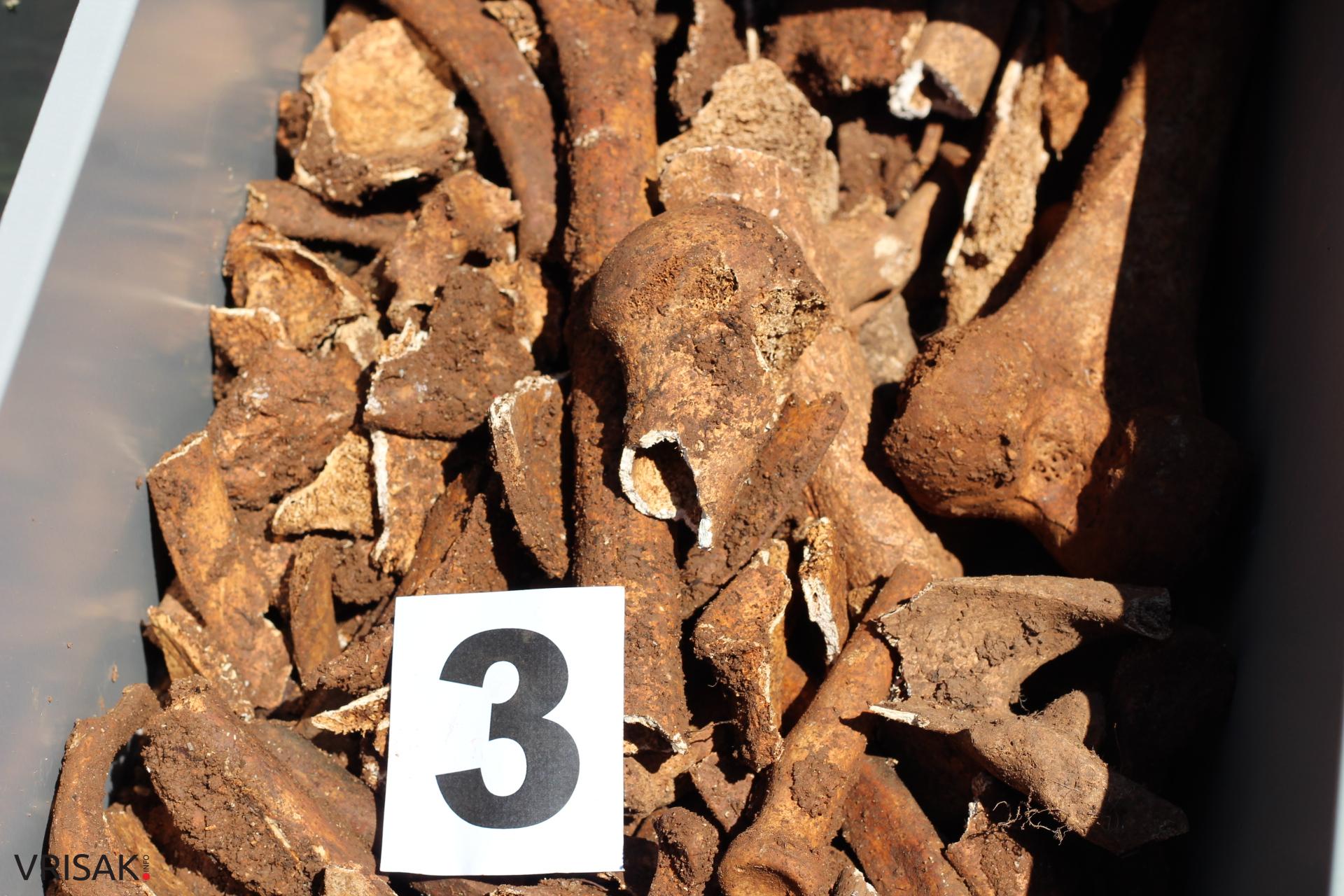 Izvršena ekshumacija šest tijela hrvatskih vojnika s Čarapova polja na Privalju