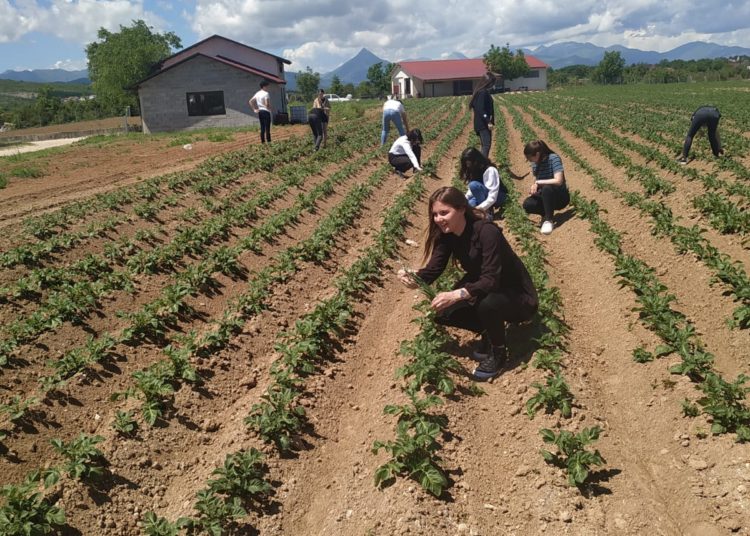Učenici Gimnazije Ljubuški sudjelovali u projektu “Agrikulturnog usavršavanja”