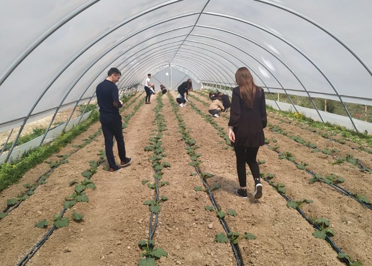 Učenici Gimnazije Ljubuški sudjelovali u projektu “Agrikulturnog usavršavanja”