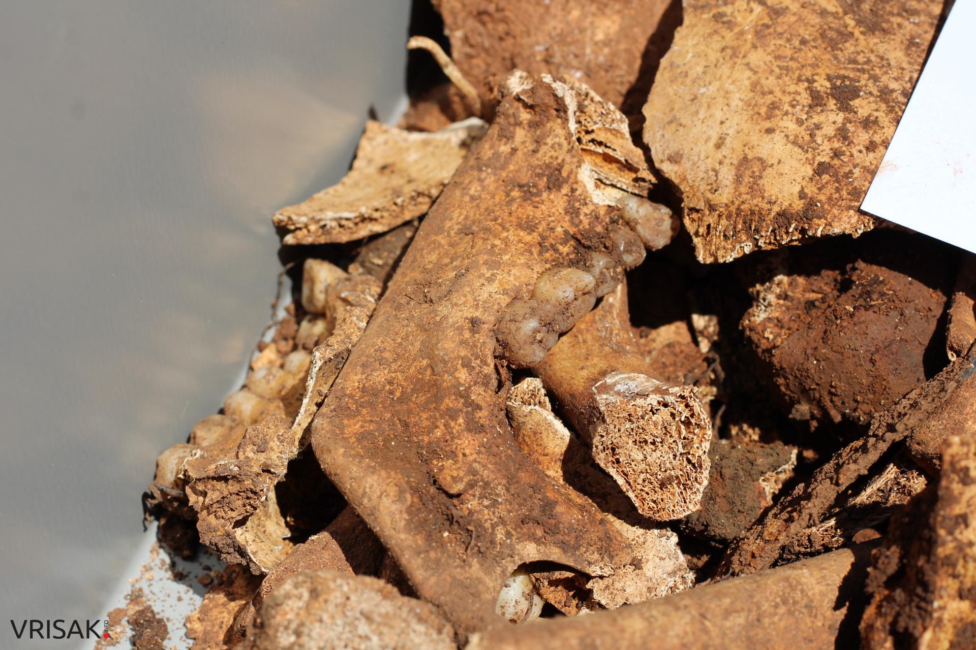 Izvršena ekshumacija šest tijela hrvatskih vojnika s Čarapova polja na Privalju