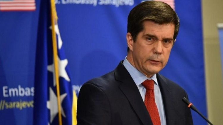 Nelson: Postoje lideri koji opstruiraju reformu Izbornog zakona
