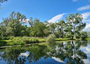 Hutovo blato – mjesto s najraskošnijom florom i faunom u Hercegovini